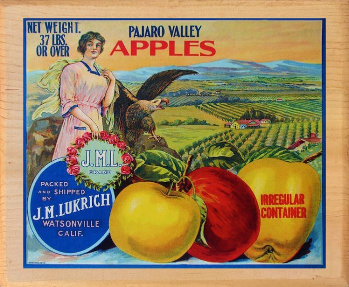 All Other – Page 2 – Vintage Apple Labels